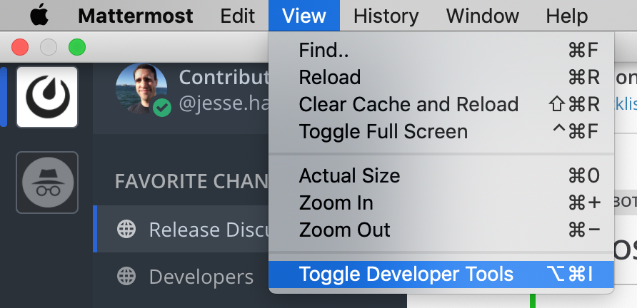 View toggle developer tools